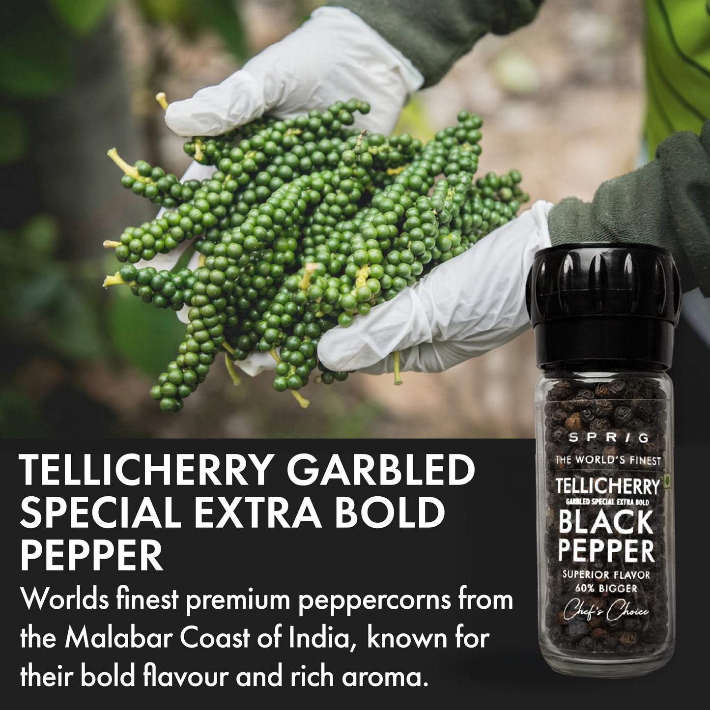 
                  
                    Whole Black Pepper -Tellicherry Garbled Special Extra Bold 50g
                  
                