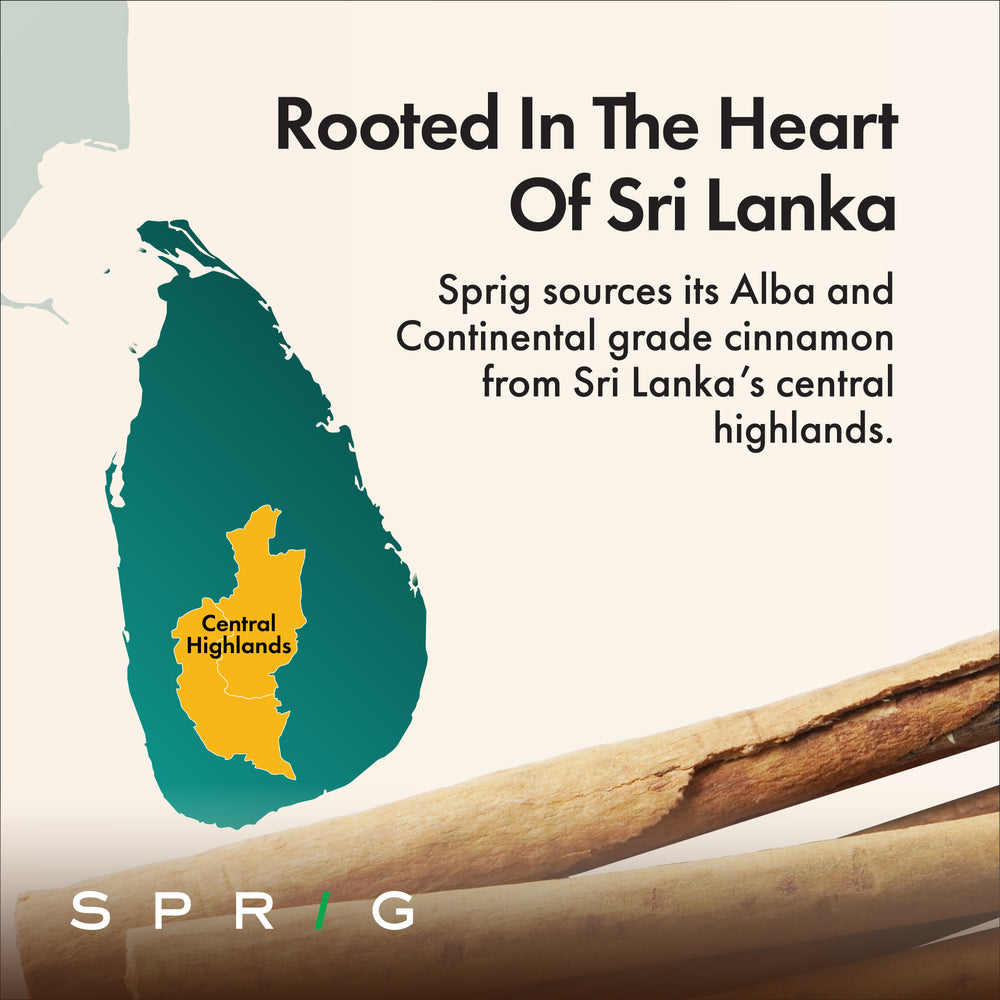 
                  
                    Ceylon Whole Cinnamon Sticks. Continental Grade from Sri Lanka
                  
                