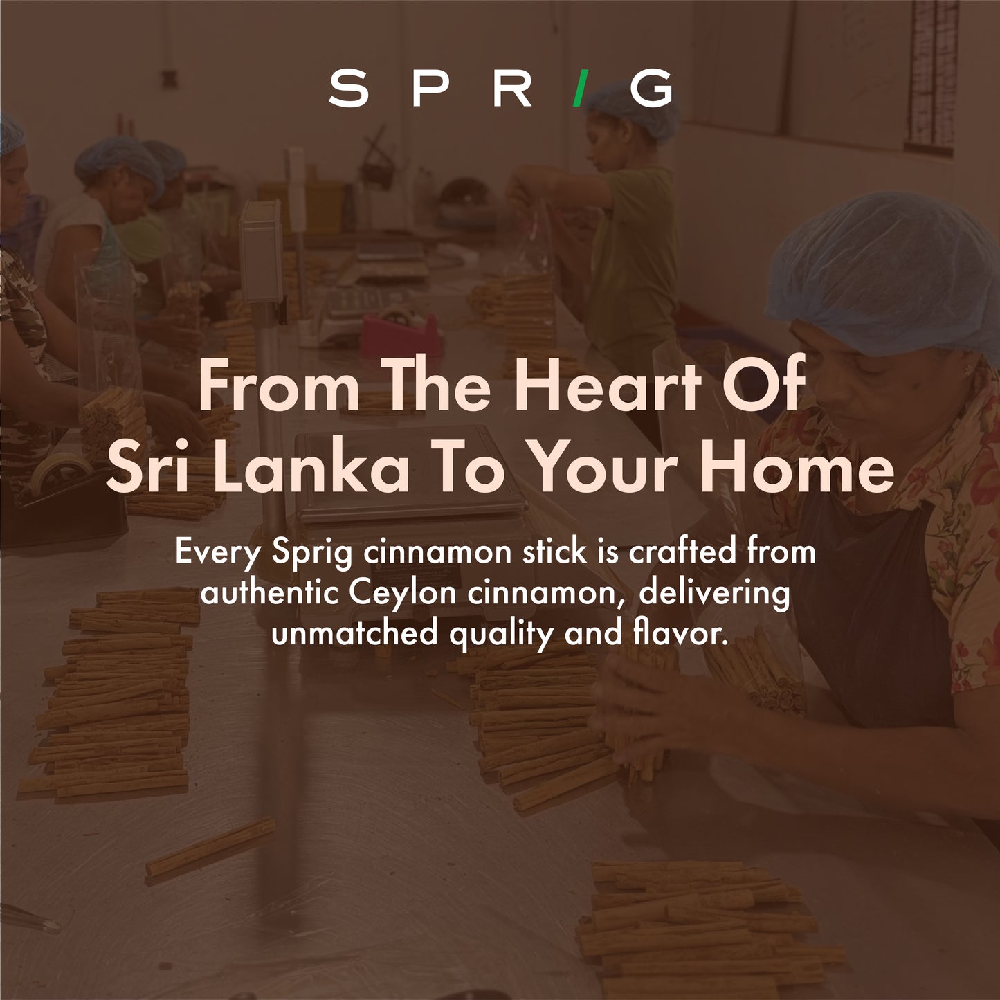 
                  
                    Ceylon Whole Cinnamon Sticks. Continental Grade from Sri Lanka
                  
                