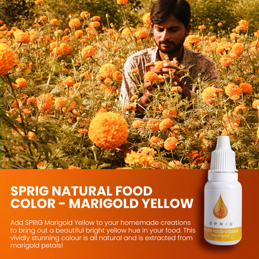 
                  
                    Natural Extracts for Colouring Food and Beverage - Marigold Yellow
                  
                