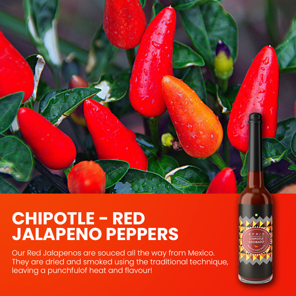 
                  
                    Chipotle Adobado Mexican Chilli Sauce
                  
                