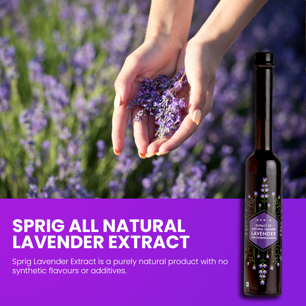 
                  
                    Extract of Natural Culinary Lavender, 110 g
                  
                