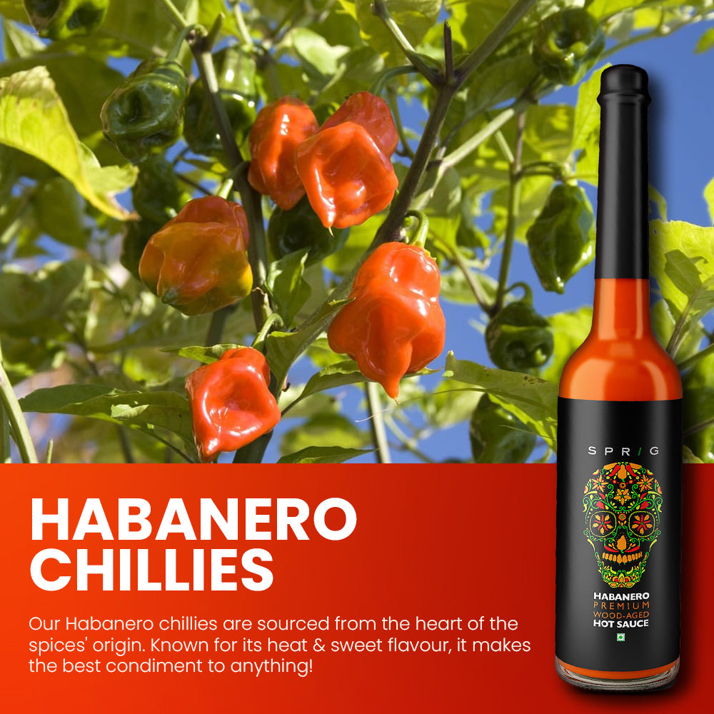 
                  
                    Habanero Premium Wood - Aged Hot Sauce
                  
                