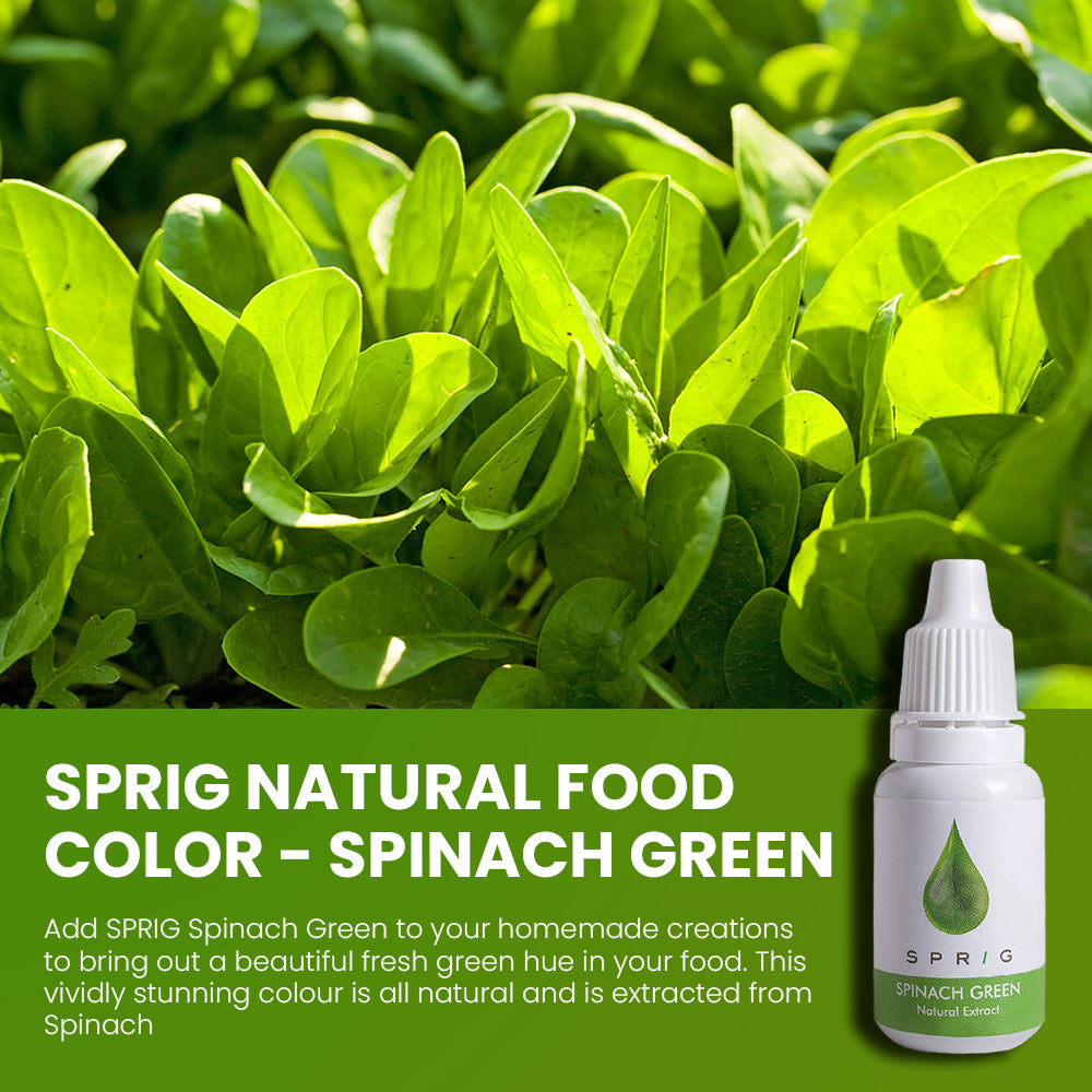 
                  
                    Natural Extracts for Colouring Food and Beverage - Spinach Green, 15 ml
                  
                